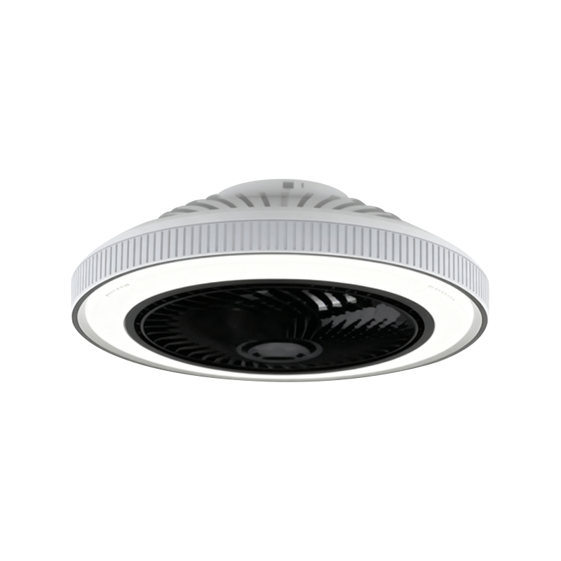 I-flush ang Mount Ceiling Fan na may Liwanag I-flush ang Mount Ceiling Fan na may Liwanag