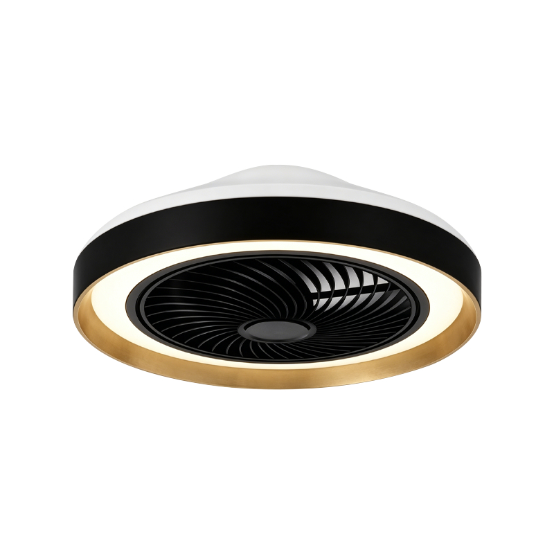 I-flush ang Mount Ceiling Fan na may Liwanag I-flush ang Mount Ceiling Fan na may Liwanag