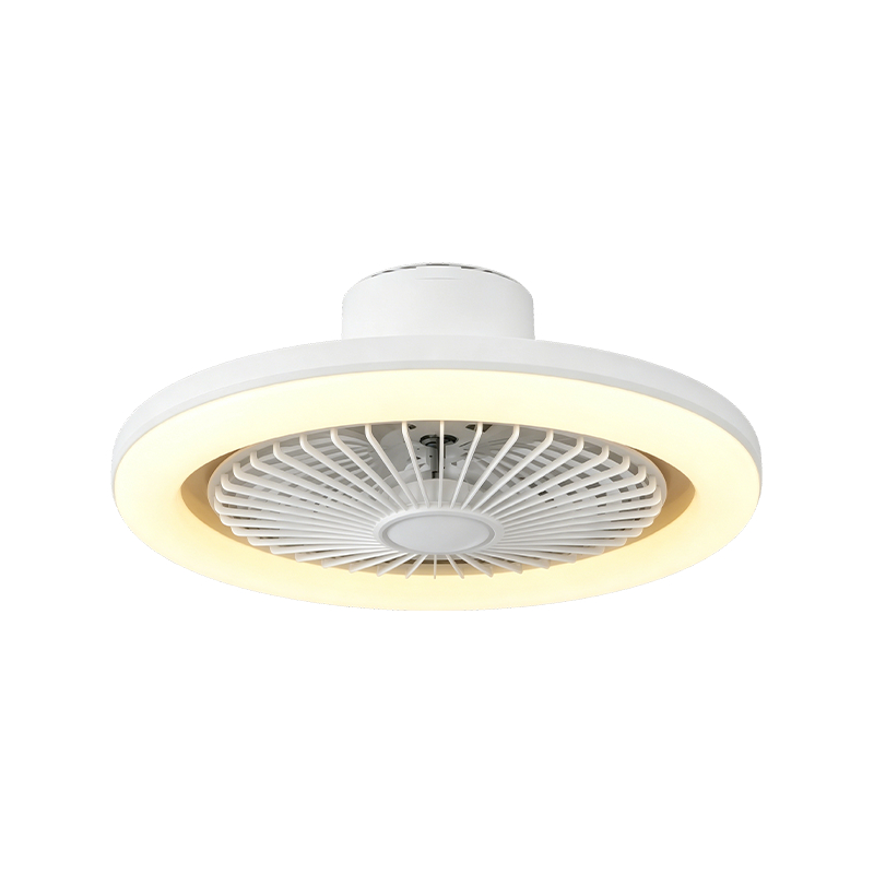 Ceiling Fan sa Silid-tulugan na may Liwanag