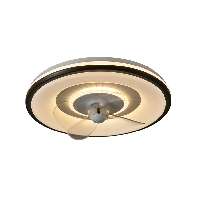 Downrod Ceiling Fan na may Liwanag