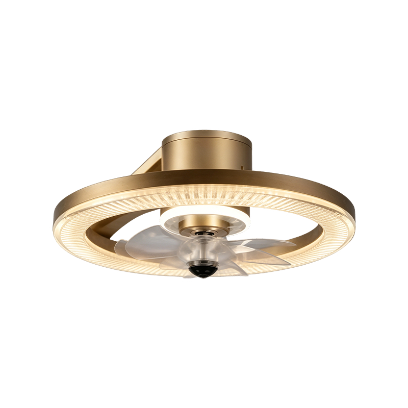 Downrod Ceiling Fan na may Liwanag